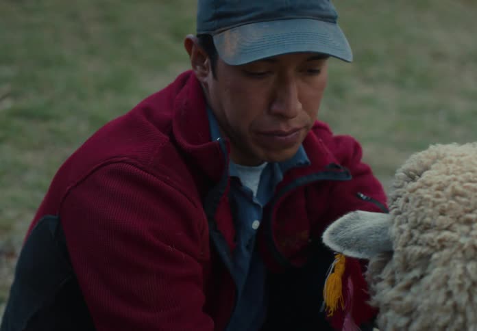 The farmer is petting his sheep