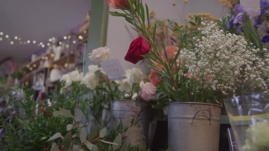 A flower shop is filled with different types of flowers at midday