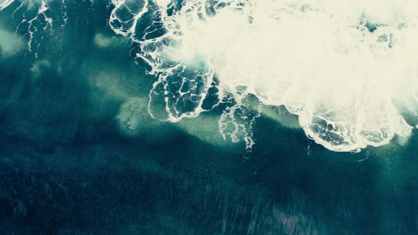 From above two white birds fly over a dark blue ocean as a large white wave crashes creating foamy patterns