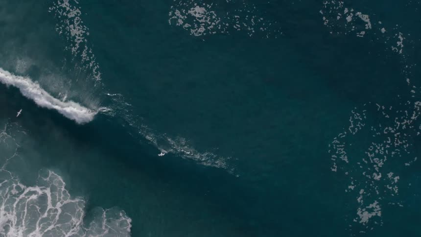 Viewed from above seagulls fly over a dark teal ocean as white foamy waves crash nearby