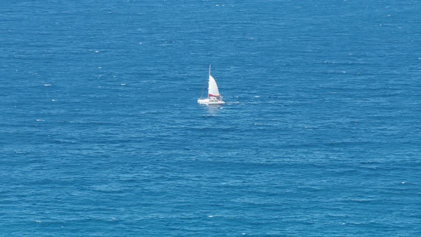 A catamaran sails on the ocean on a sunny day