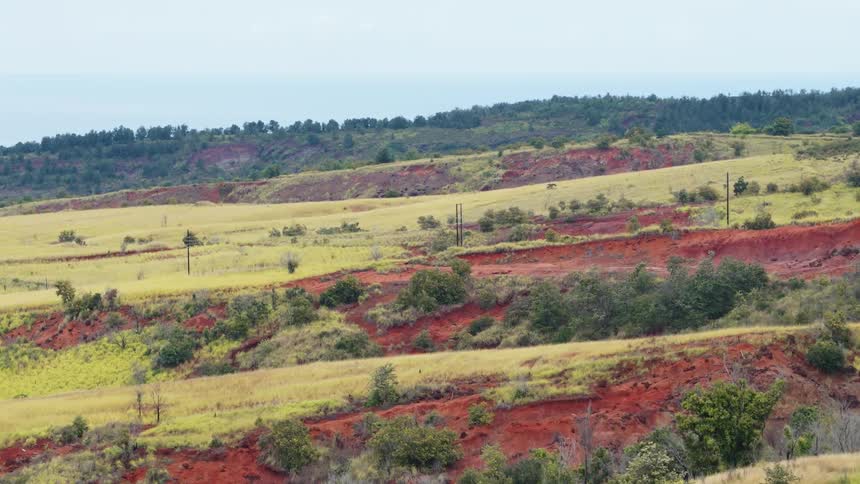 Rolling hills leading to trees