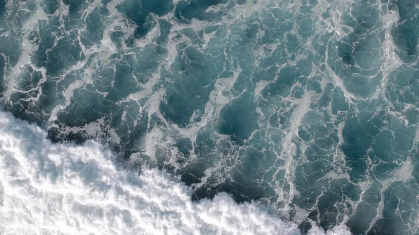 Birds fly overhead as a large ocean wave washes ashore