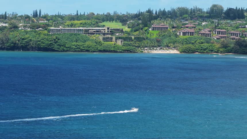 Speedboat leaves a white trail across blue sea in front of a resort surrounded by greenery
