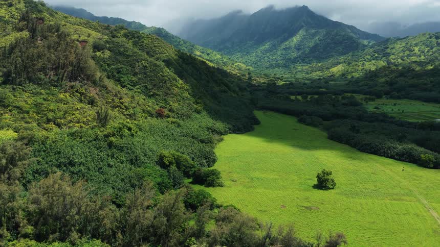 Lush valley surrounded by vegetationcovered mountains under a cloudy sky