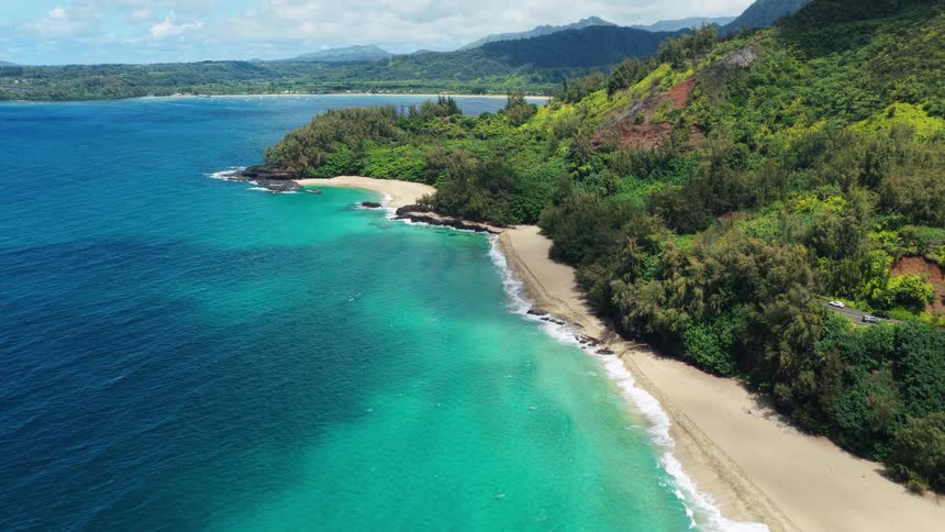 Deserted beach with turquoise and emerald waters surrounded by dense vegetation and cliffs covered in native forest