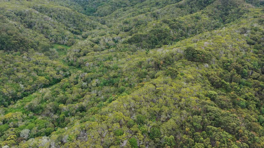 The mountan range is full of green