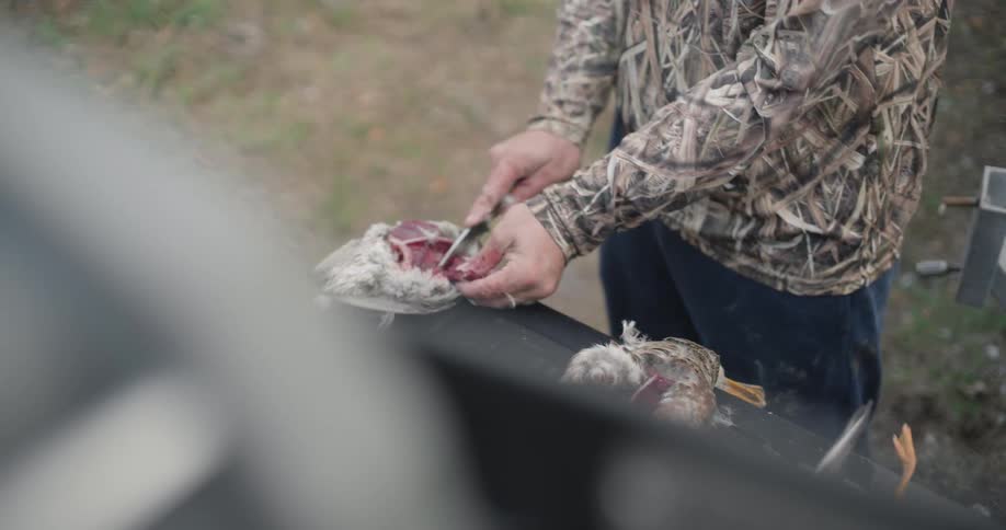 Two hunters one wearing a camouflage jacket and jeans are using knives to clean ducks on the black tailgate of a truck in a grassy field