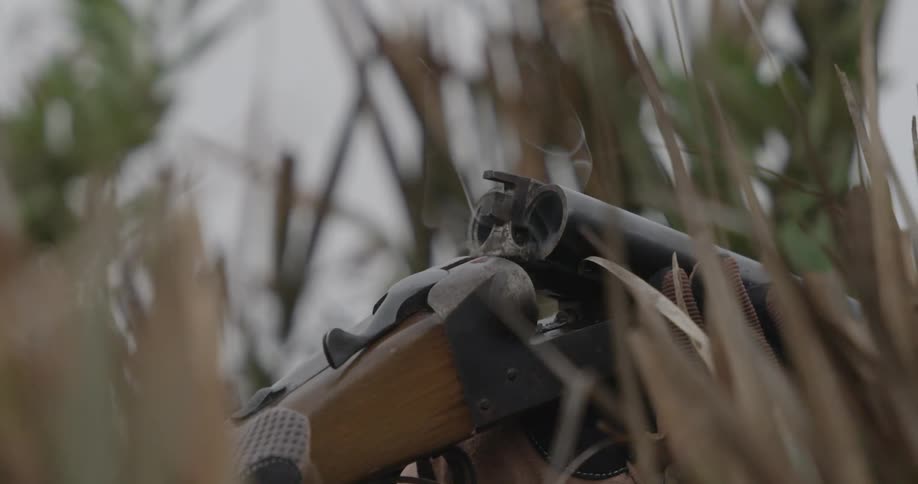 A closeup of a smoking shotgun held in tall grass