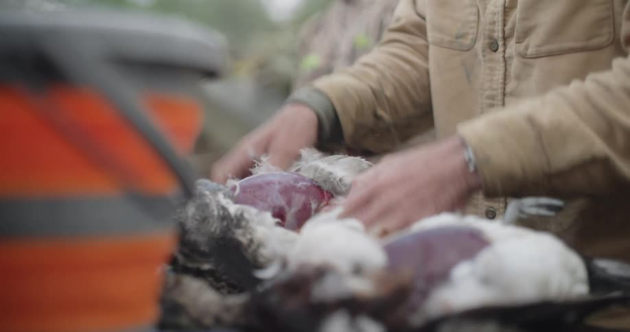 He hunter is skinning rabbits