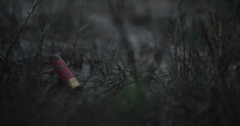 Spent shotgun shell lying among wet grass in a dark setting