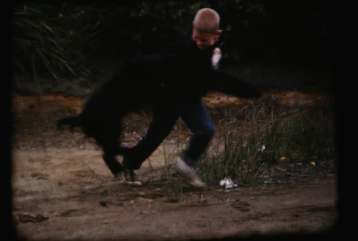 A boy and his dog are playing