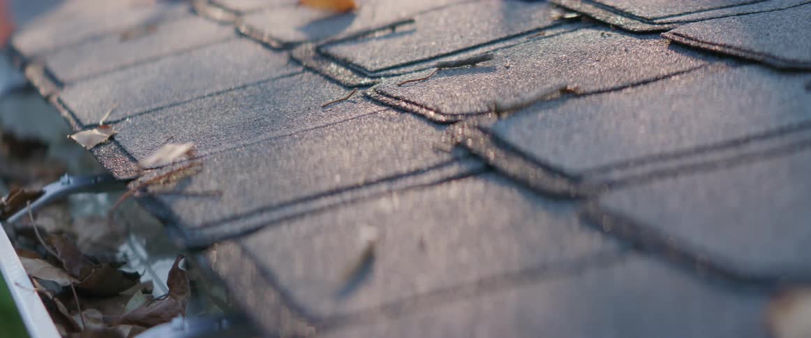 Dry leaves gather on shingles under the soft evening light