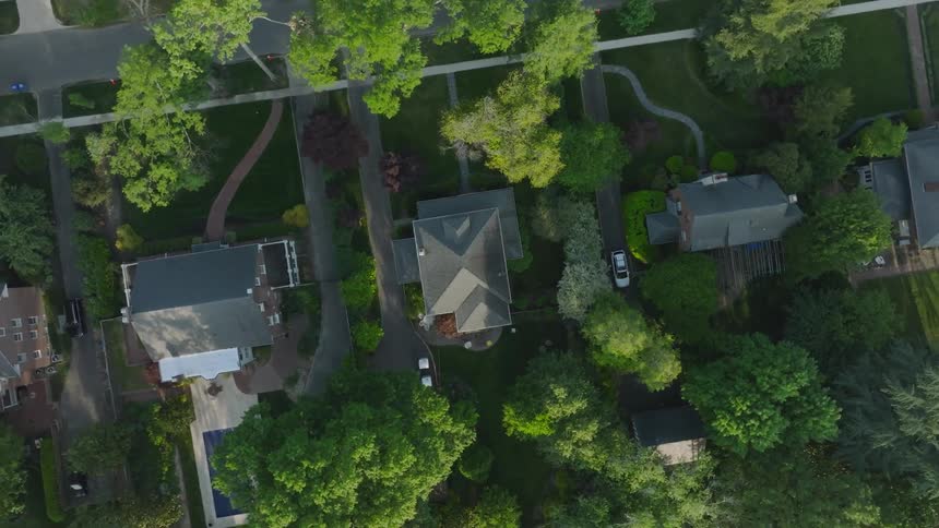 Aerial of trees and houses in a suburban area in the evening