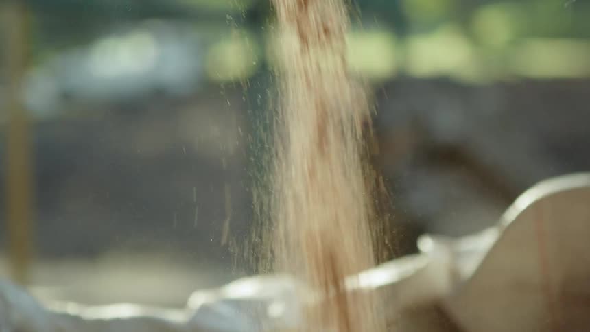 Man lets grain fall from his hand to form a pile while outdoors during the daytime