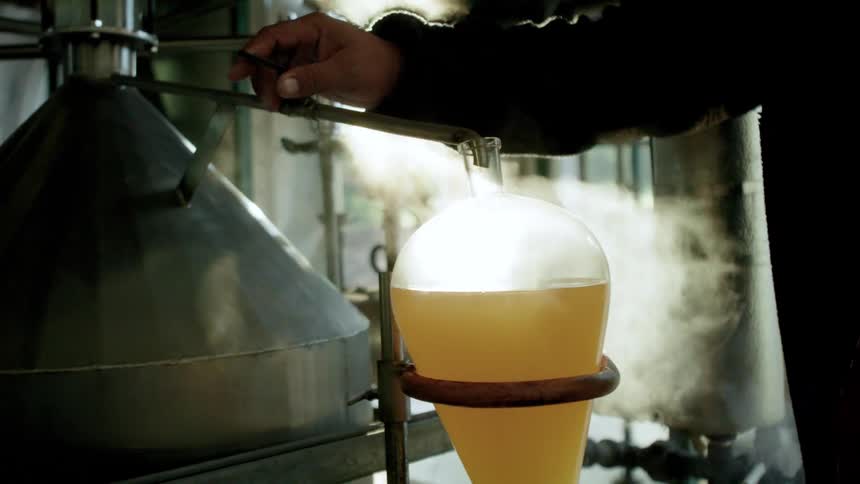 Man adjust flow to collect brewed alcohol into a glass container
