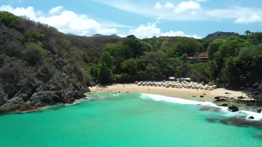 Landscape of a beach in a wooded area with a parasol in the background