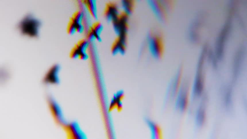 A flock of birds fly on a screen