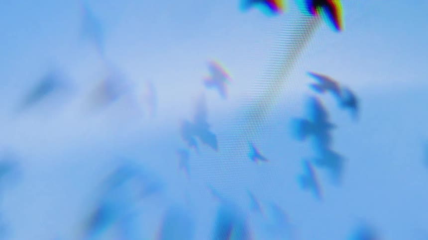 Blurred silhouettes of birds flying against a blue sky