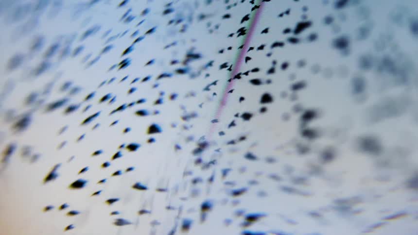 flock of birds flying across a highly pixelated screen