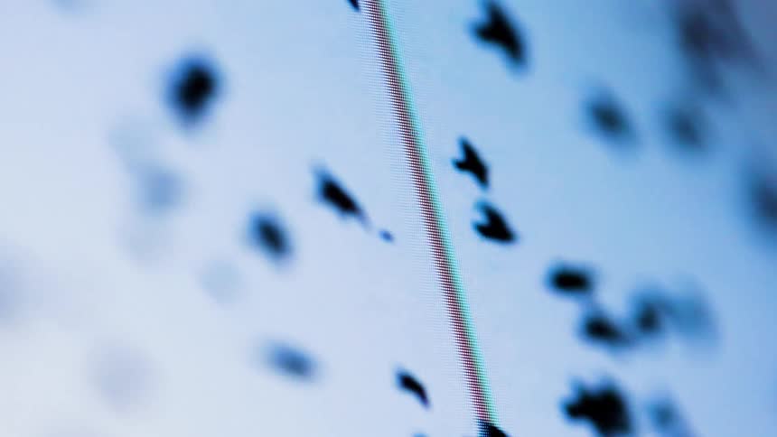 The video shows a screensaver of birds flying across a white background with a vibrant blue filter the individual pixels of the screen are highly visible revealing the red green and blue subpixels