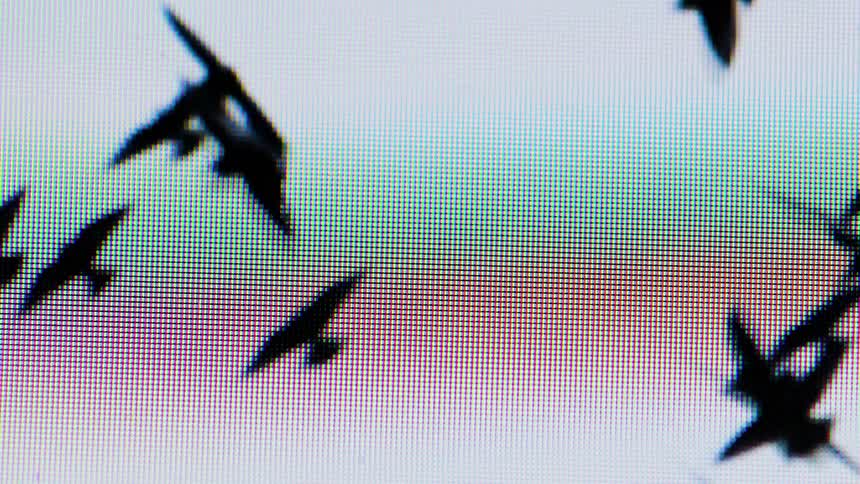 Closeup of a screen displaying black birds flying