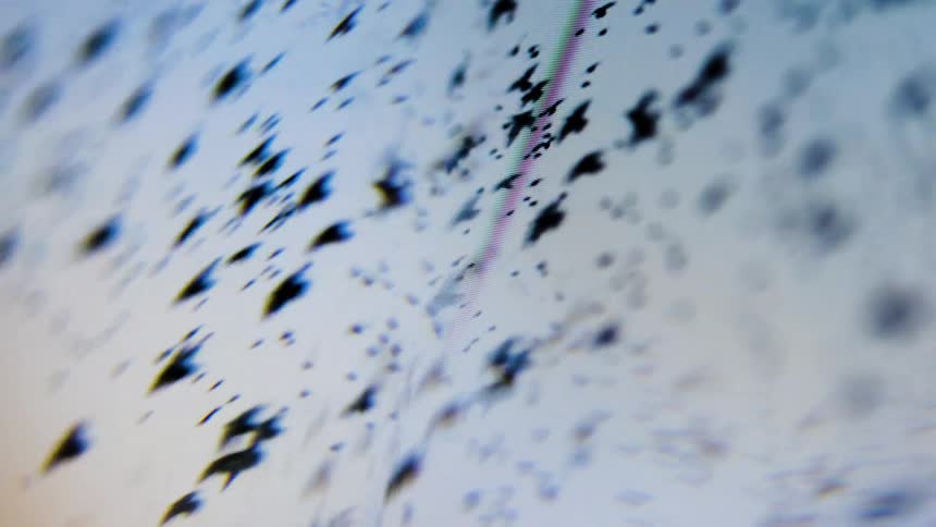 Multiple birds in flight seen through a screen with a rainbow effect