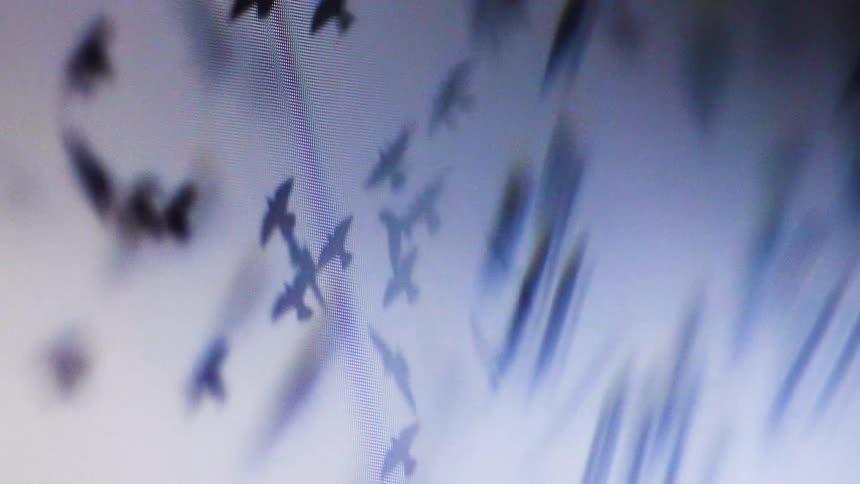 The video shows a screensaver of birds flying across a white background the pixelated nature of the screen is visible with tiny red green and blue dots making up the image