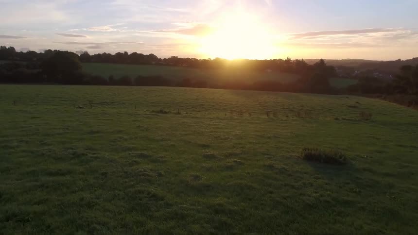 The sun shines on an open grass field