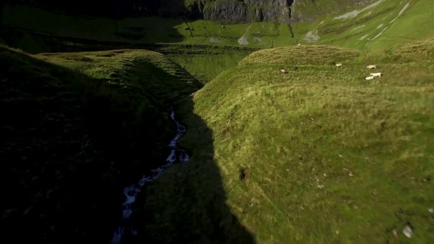 The pastures are lined with green with sheep on the hills