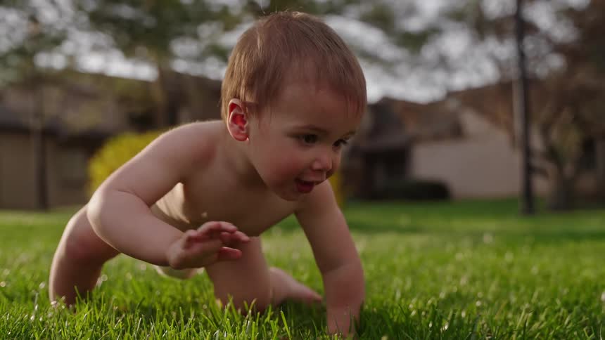 A slowmotion closeup of a babys hands and legs crawling on a lush green lawn