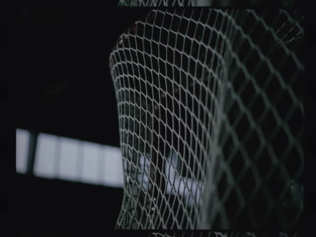 Hockey puck hitting the goal