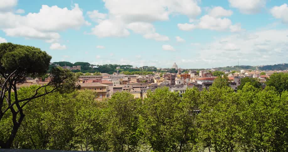 Green trees in the foreground and in the background a classic urban city with mountains on the horizon