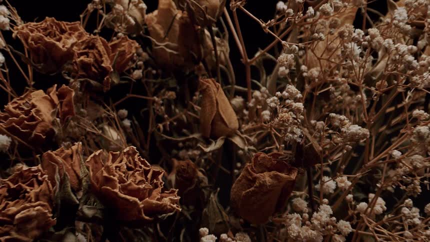 A bouquet of dried flowers