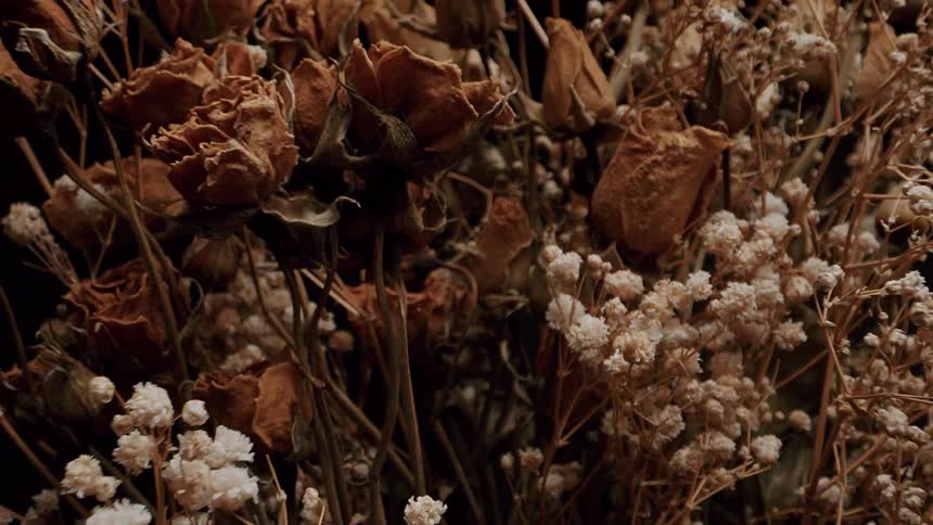 Still life of a dry bouquet of flowers against a black background