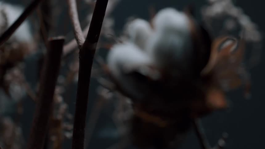 Frost sits in a flower head