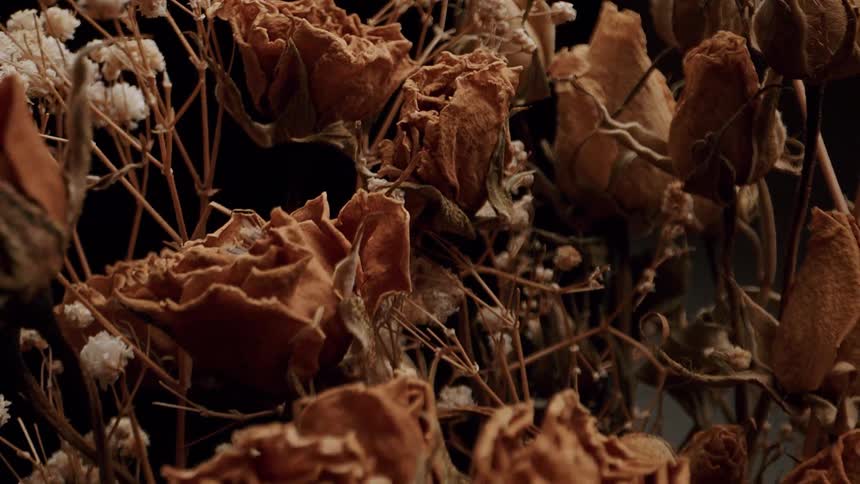 A cluster of dried roses and delicate white flowers stands against a dark background