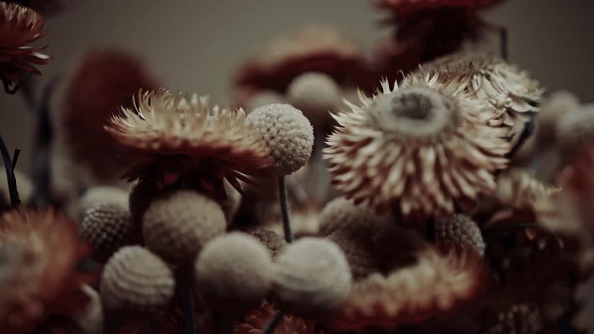 A bouquet of dried flowers