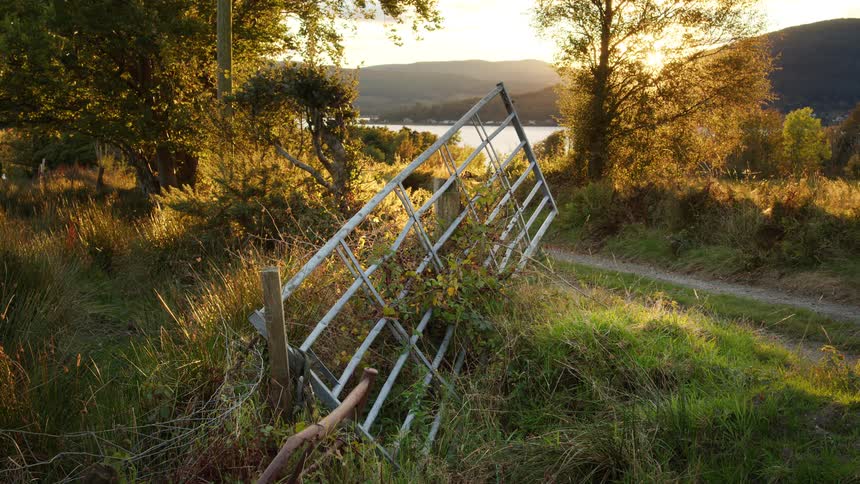A gate to the side of a dirt path near a lake