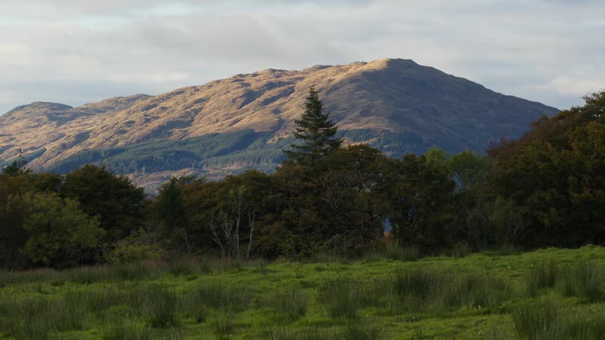 Sunlit mountain in the background of a wooded area