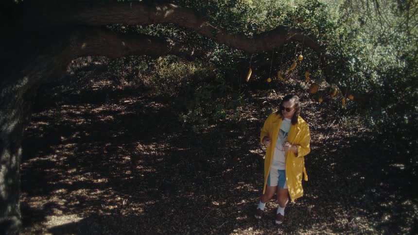 Man wearing a yellow robe dances under the fruit hanging off a longthick branch in the woods