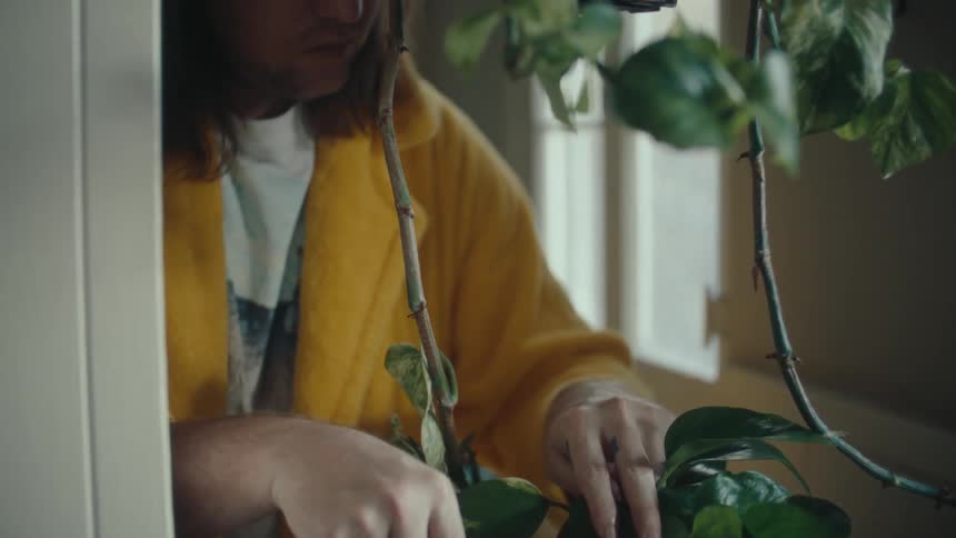 Person using pruning scissors to cut a branch from a plant with green leaves