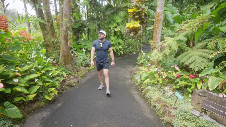 Man looks around while walking along a path at the arboretum on a summer day