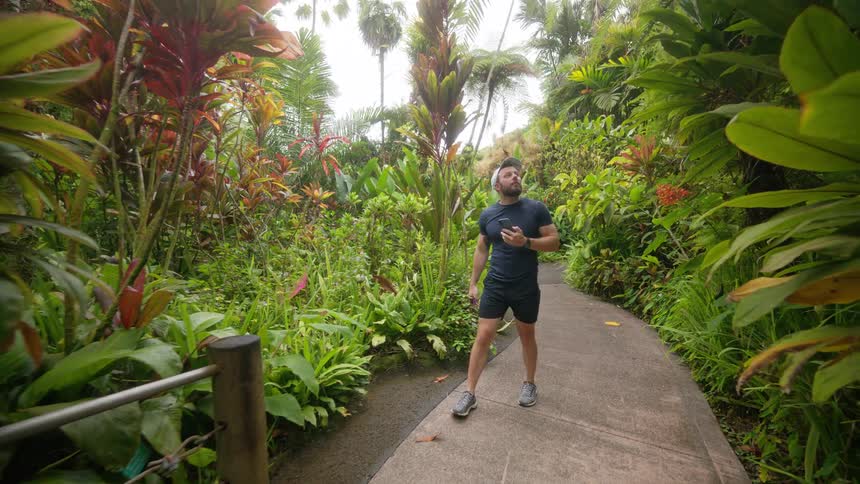 Man walking through a natural park with trees of different species