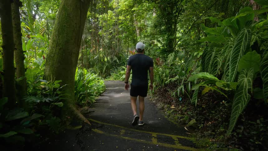 Man walking along a paved path through a botanical garden looks around