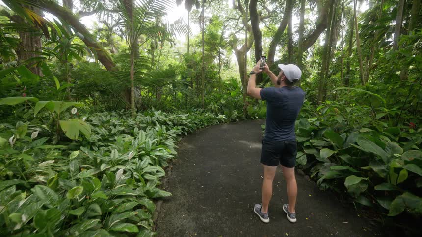 A man in athletic wear takes pictures with his phone along a winding path through a dense tropical forest