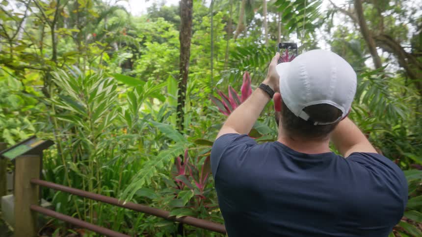 A man wearing a white baseball cap a dark blue shirt and black shorts is standing on a paved path and using a smartphone to record a variety of large plants and trees to his right