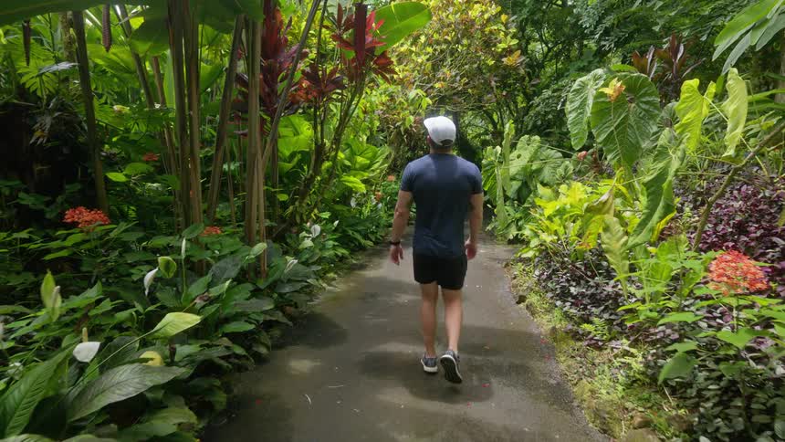 The video shows a man in a dark blue shirt shorts and a white baseball cap walking along a paved path in a lush tropical setting the path is surrounded by dense green plants and bamboo with a bench visible on the right