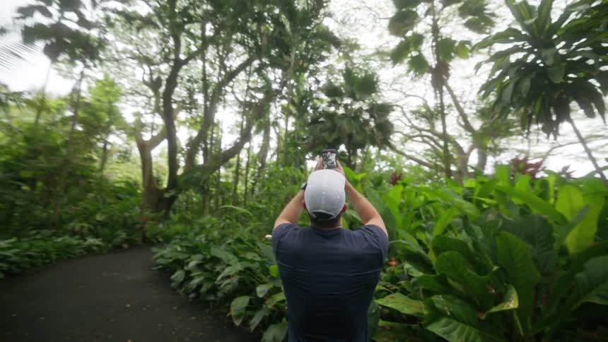 A man photographs the scenery along a lush tropical pathway surrounded by dense green foliage