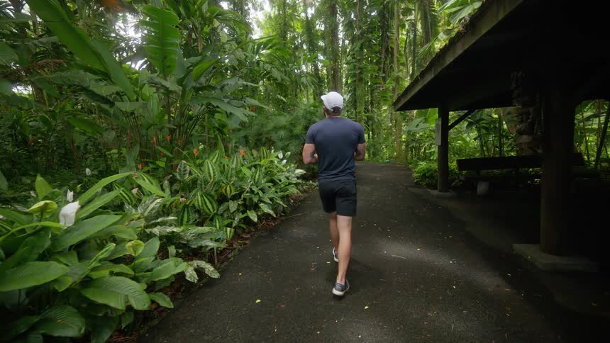 Man walks on a path in a tropical forest looking up at the trees and taking pictures with his phone